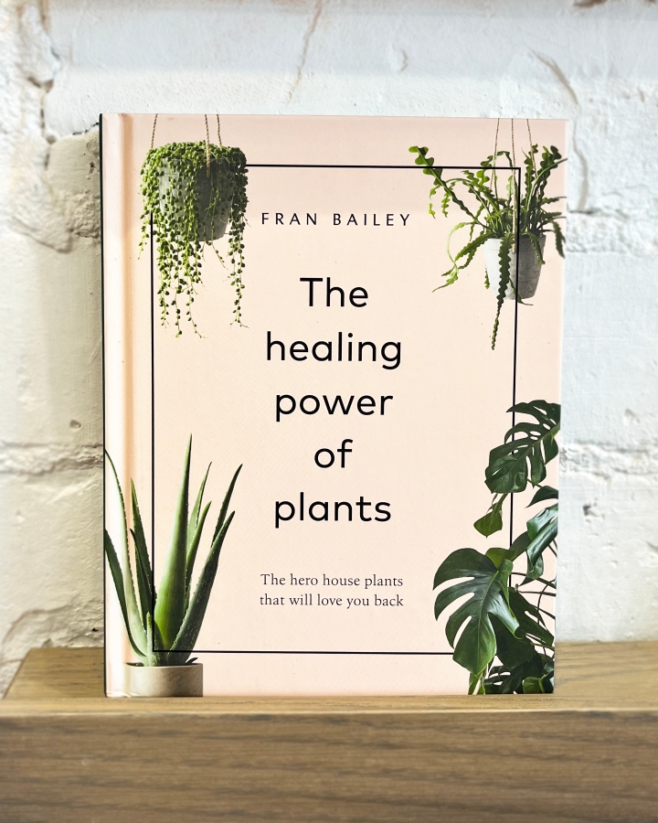 The Healing Power of Plants