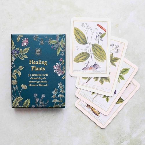 Healing Plants Illustrated Botanical Cards